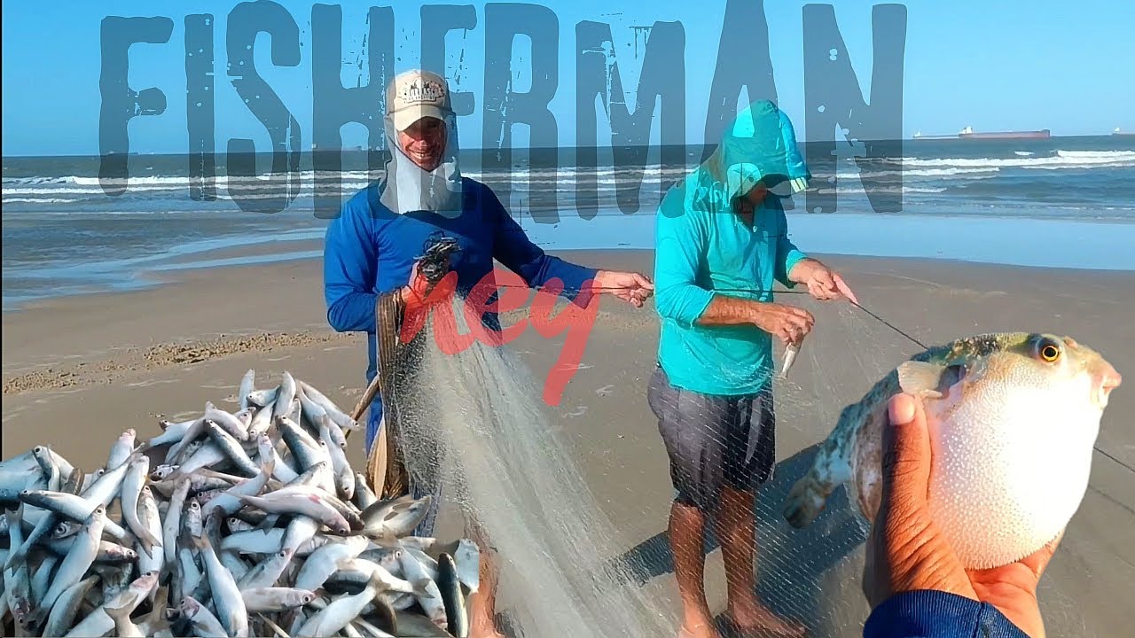 Como pescar de tainheira na praia 🏖️#fishing #pescaria #fish #pesca #fisherman 