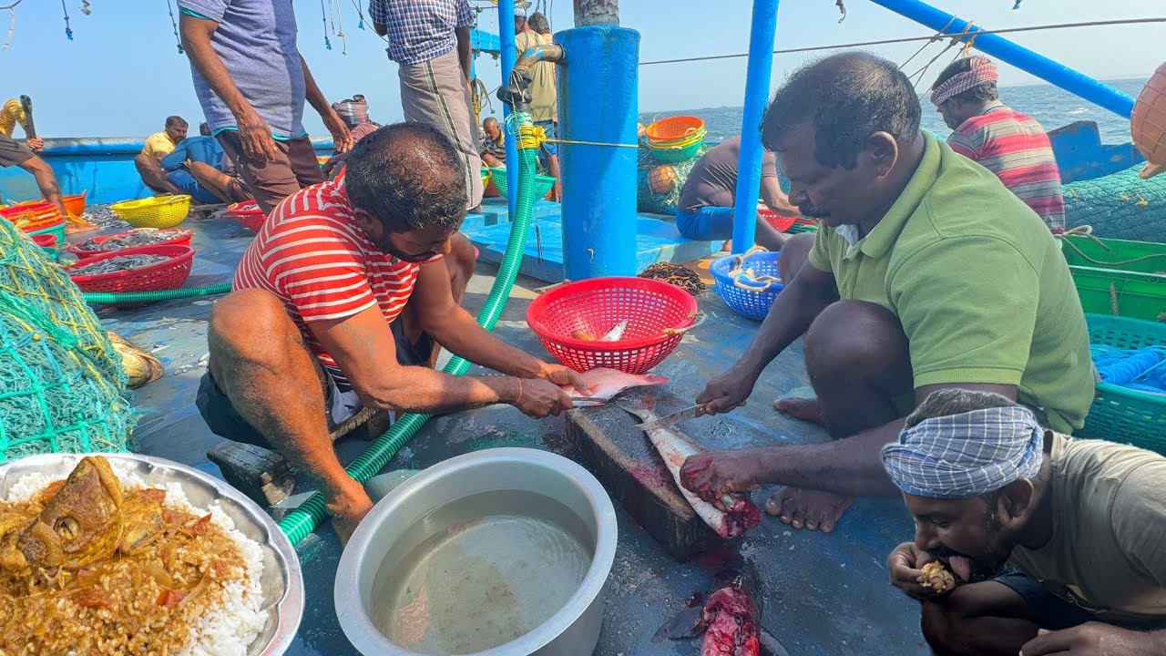 Delicious 😋 Cobia Fish curry Cooking in Sea |கடல்மேல் சமைத்த சுவையான கடவுறால் மீன் குழம்பு
