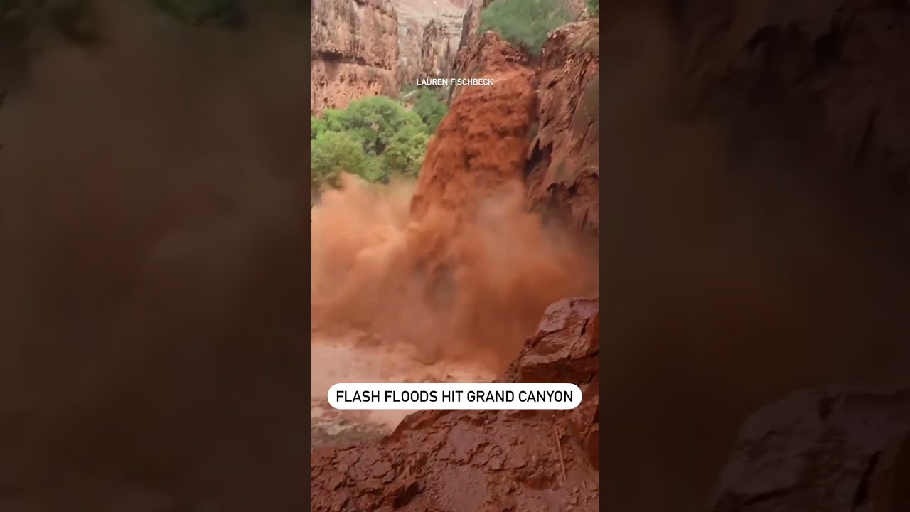 Hikers airlifted from Grand Canyon as area swells with flash flooding