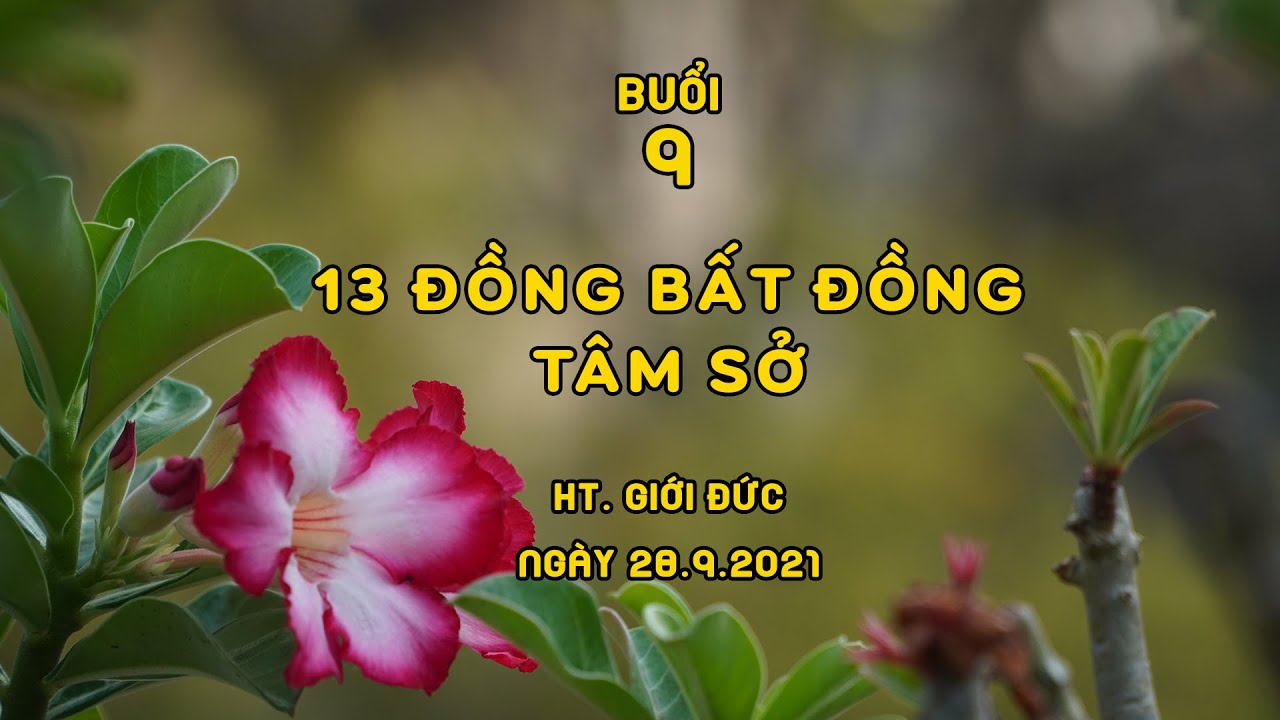 Abhidhamma (Buổi 9): T&acirc;m Sở, 13 Đồng Bất Đồng T&acirc;m Sở | HT. Giới Đức | Ng&agrave;y 28/09/2021