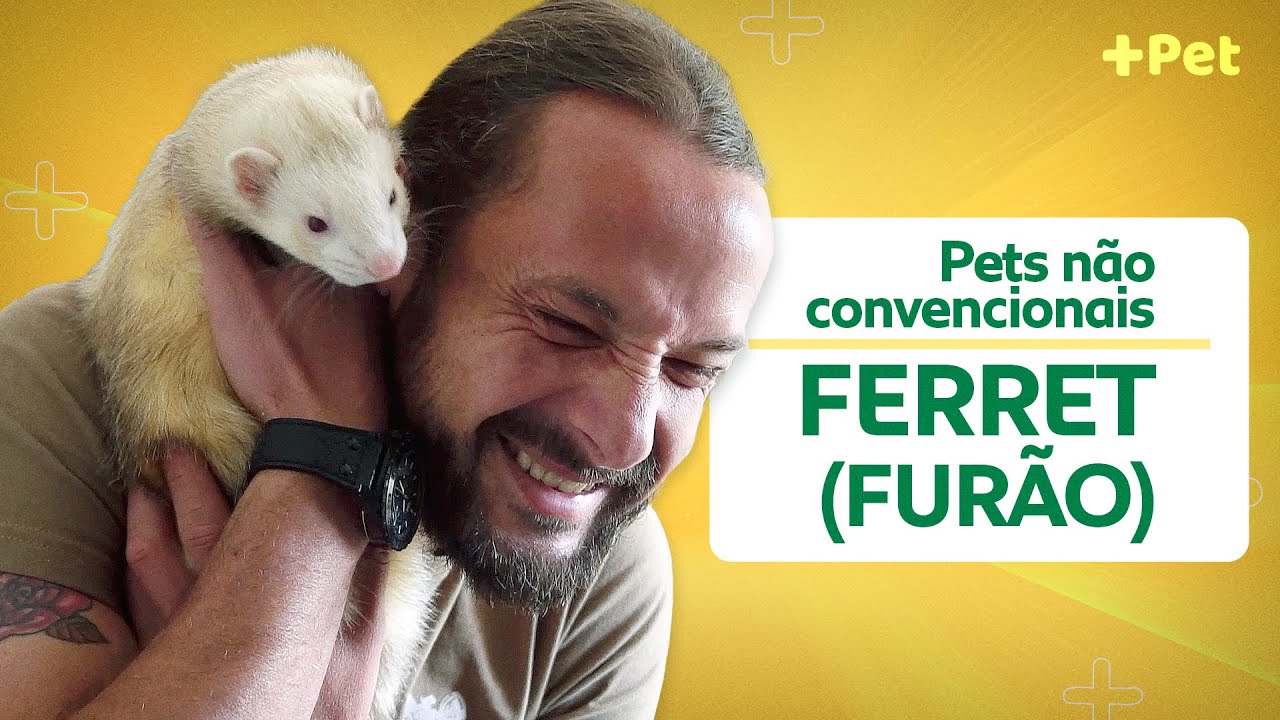 COMO É TER UM FURÃO? | CANAL MAIS PET