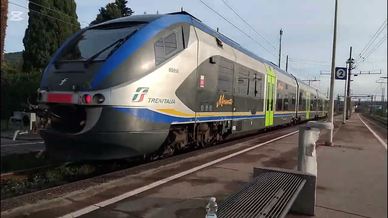 Una raccolta spettacolare alle stazioni di montepescali,gavorrano,follonica godetevelo.