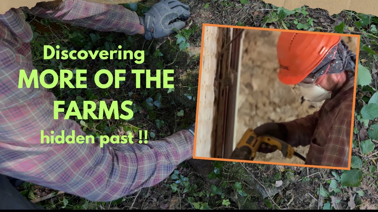 Unearthing The Old Bridge, old Kitchen Secrets, and First Glimpses of our new project!