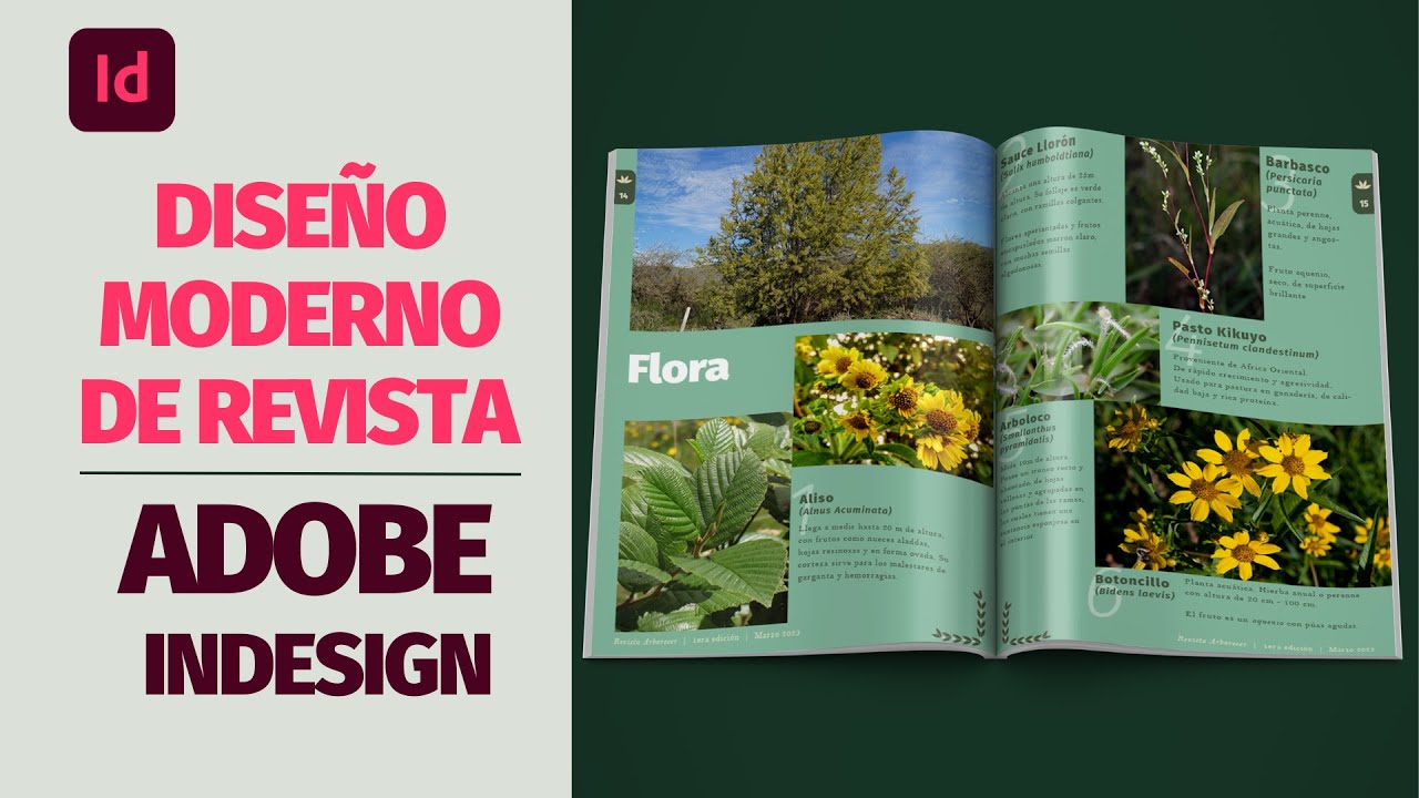 CREAR UN DISEÑO MODERNO DE REVISTA en ADOBE INDESIGN 2023 | Tutorial