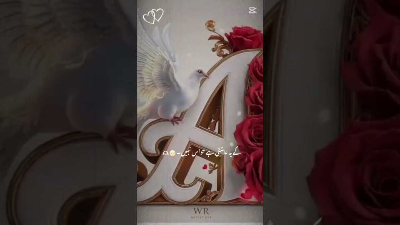 #law #education #mrbeast #police #lawyer #lawbymike #repeatafterme #tiktok