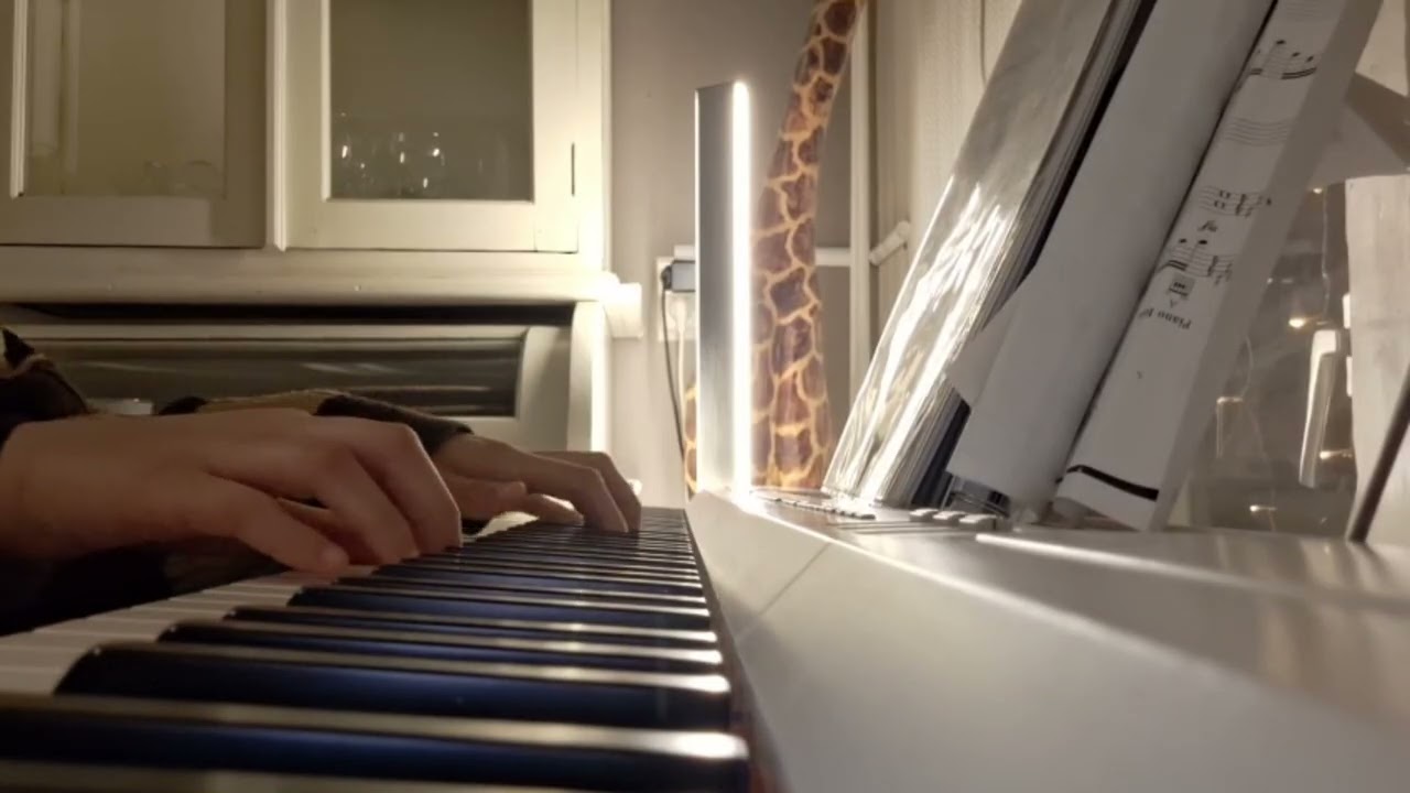 Hoofdinstrument La dispute Zenna Jansen
