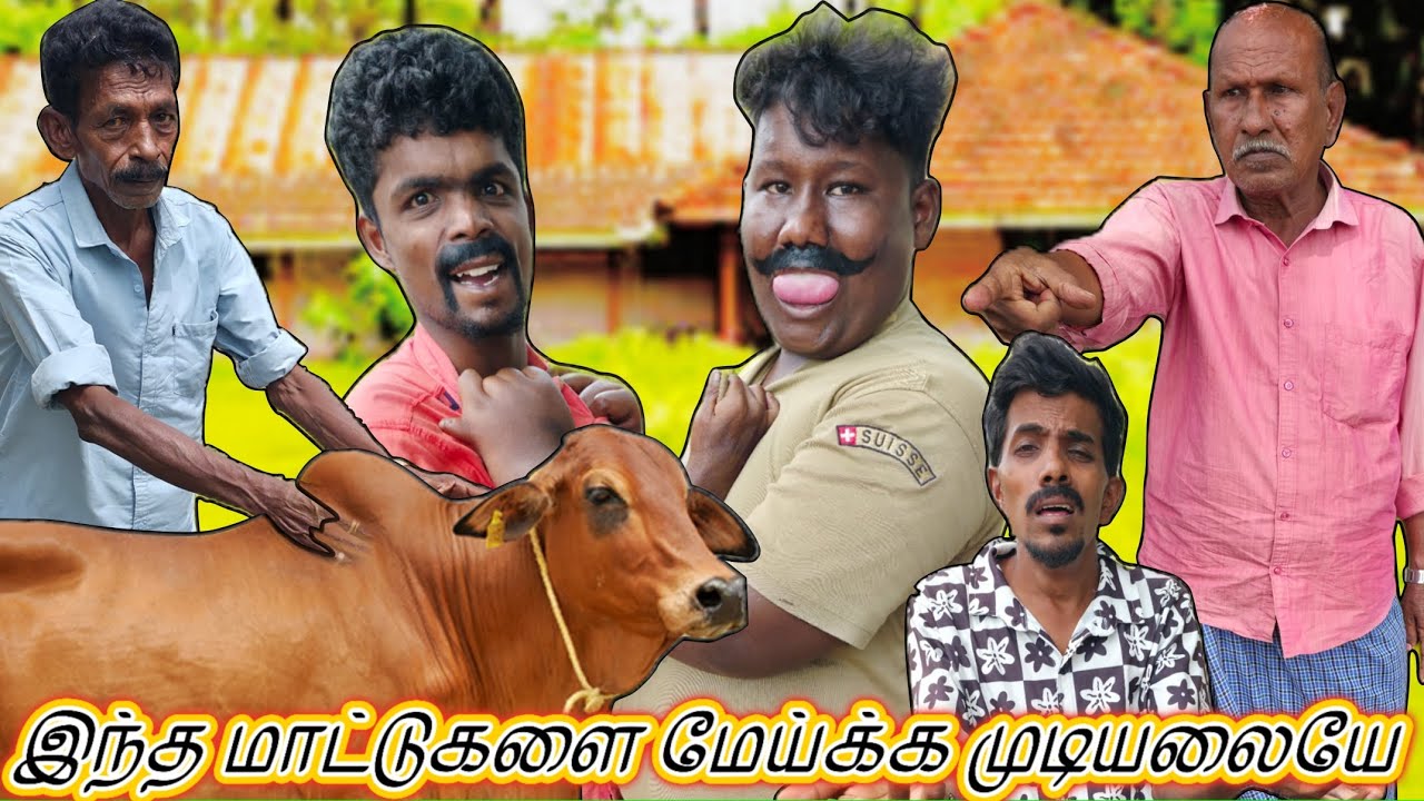 எரும மாடு எல்லாம் இவனுக்கு பசுமாடு எல்லாம் உனக்கு பாகத்தை ஒழுங்கா பிரி | Fun Torture