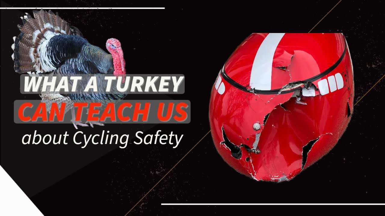 What a Turkey Taught Me About Cycling Safety - A Velomobile Safety 101