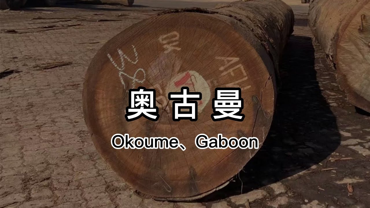 一分钟了解奥古曼（非洲胡桃、非洲桃花芯）Wood Knowledge: An Introduction To Okoume（Gaboon）
