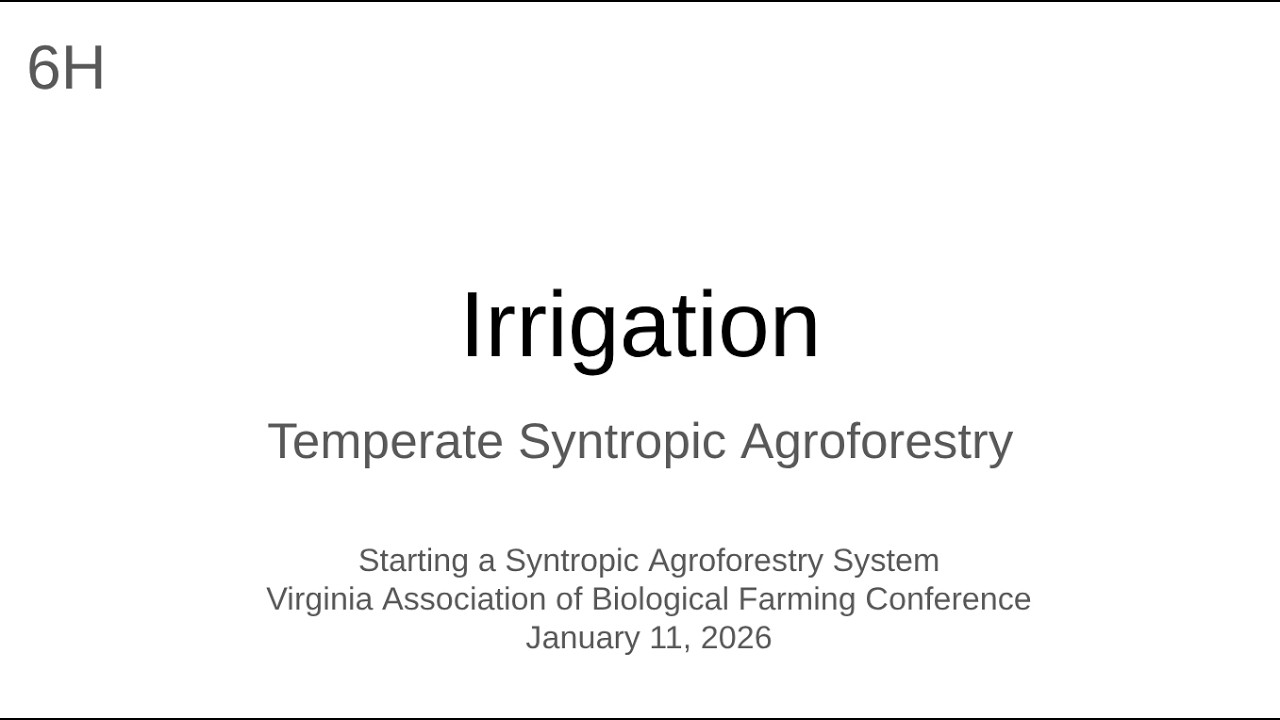 6H Irrigation - Temperate Syntropic Agroforestry