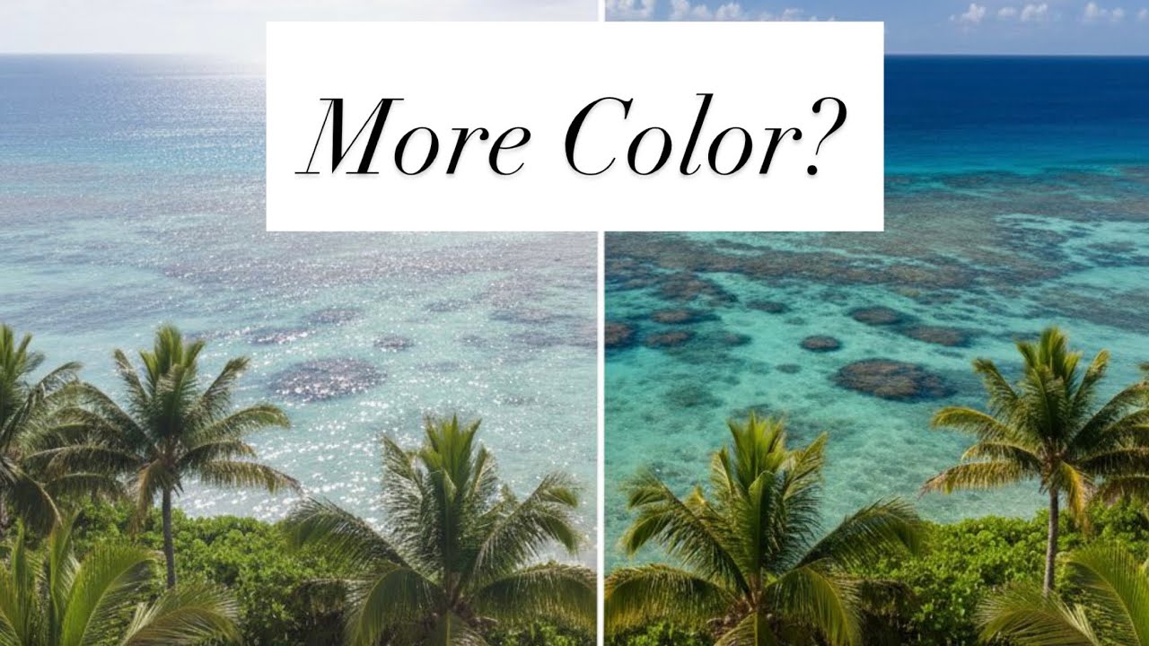 Polarized Lenses: More Color & Contrast, or Just Less Glare?