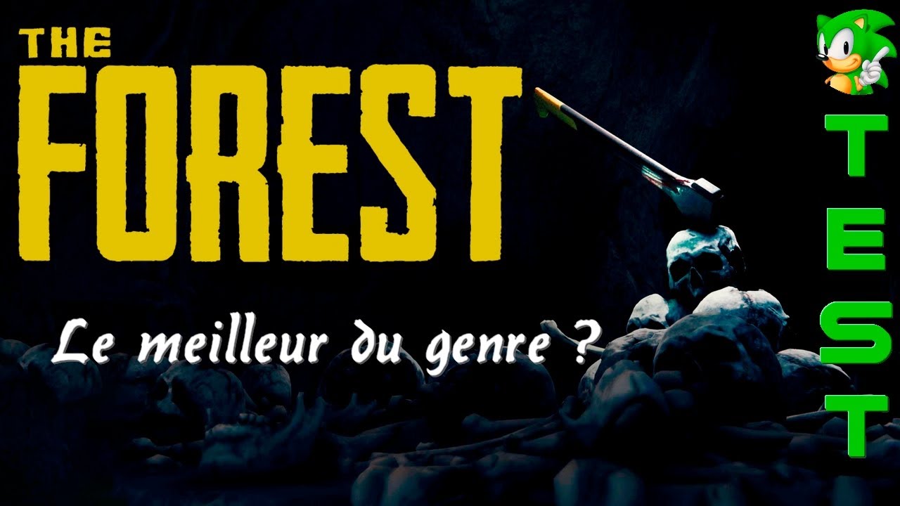 The Forest : Le survival qui mélange HORREUR et SOLITUDE (mais jouable à plusieurs, lol)