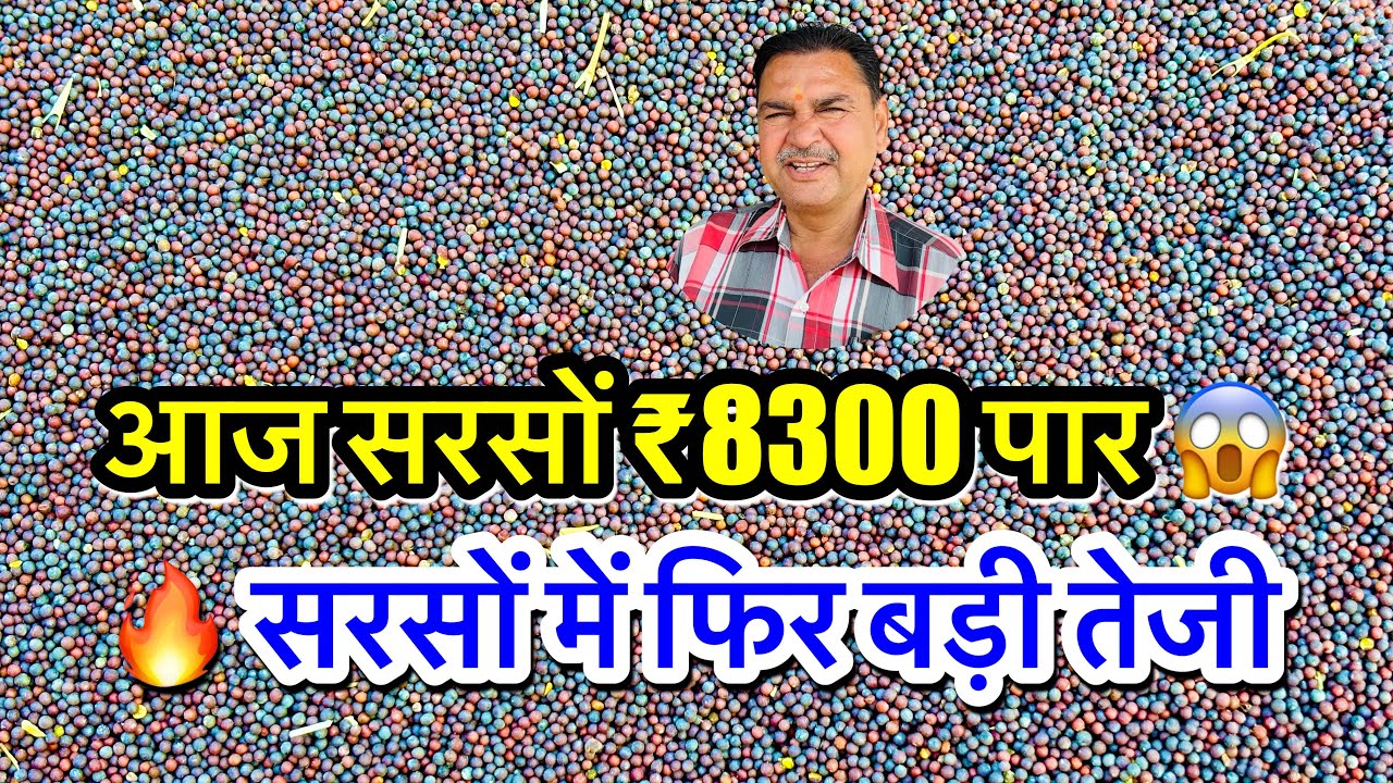 सरसों का भाव आज फिर आसमान छू गया 😱 किसानों के चेहरे खिले 🔥 | Sarson Ka Bhav Today #viralvideo #sarso