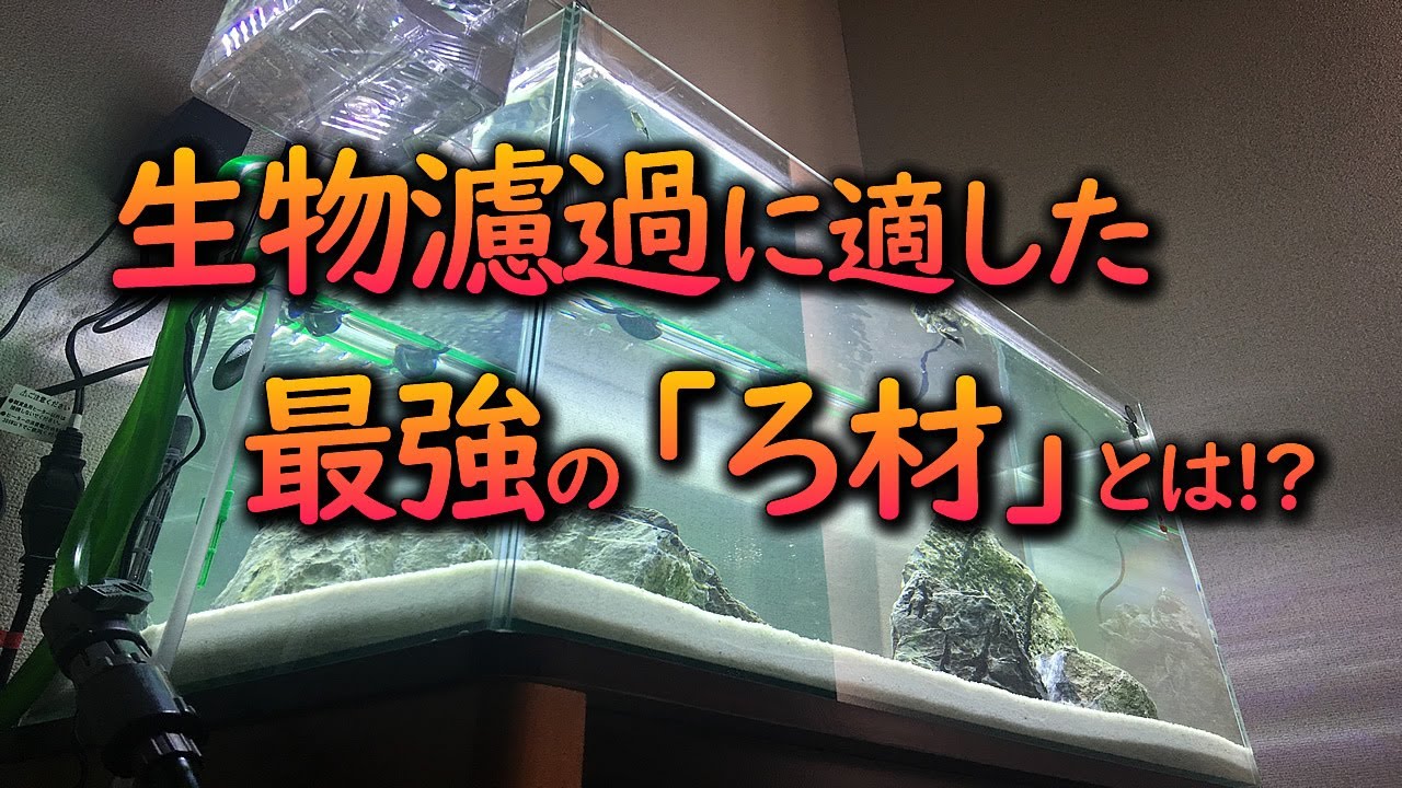 アクアリウム初心者にお勧め最強「ろ材（生物濾過用）」でフィルター機能を向上！