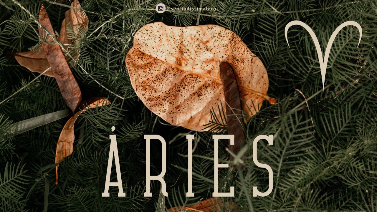 ÁRIES ♈ MARÇO 🔮✨ UMA DECISÃO IMPORTANTE SERÁ TOMADA! 