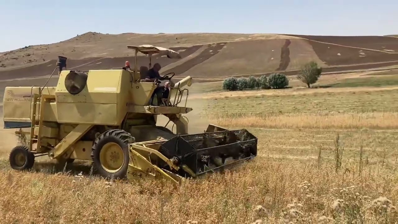 1530 clayson nohut biçimi. Resmen yarıştalar