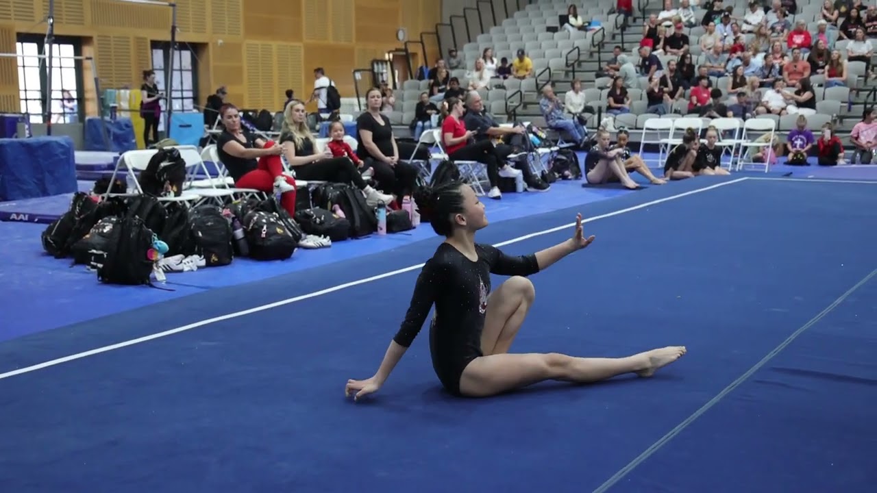 Maddy Yee 1st Floor 9.6 Pacific Classic 2026 Wildfire Gymnast Level 7
