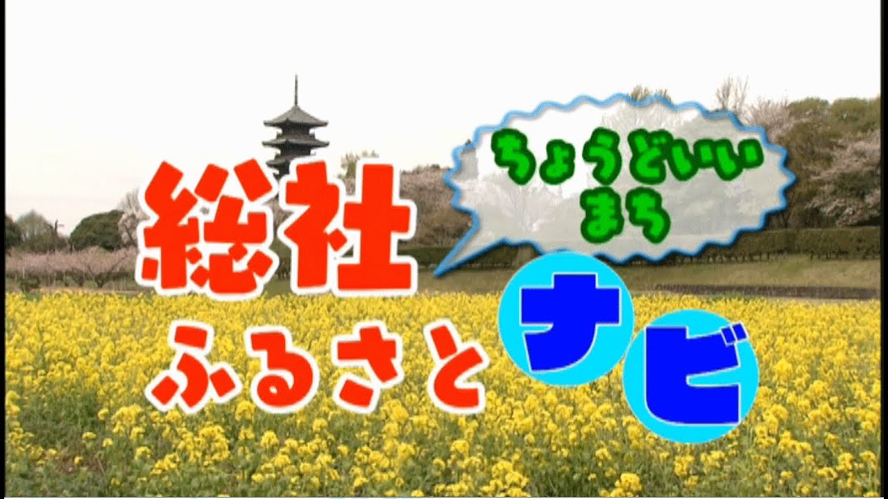 ちょうどいいまち総社ふるさとナビ