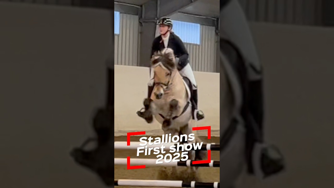 Breeding Stallion is showing off! 
