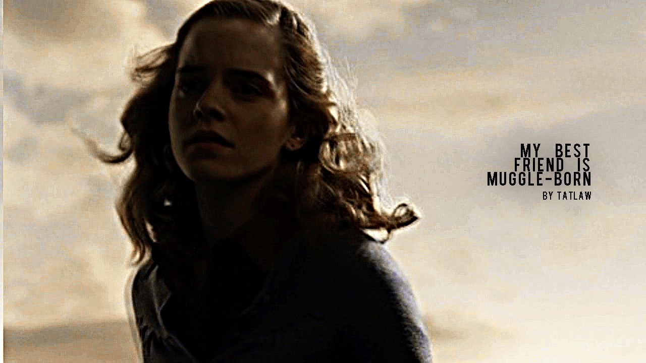 my best friend is muggle-born