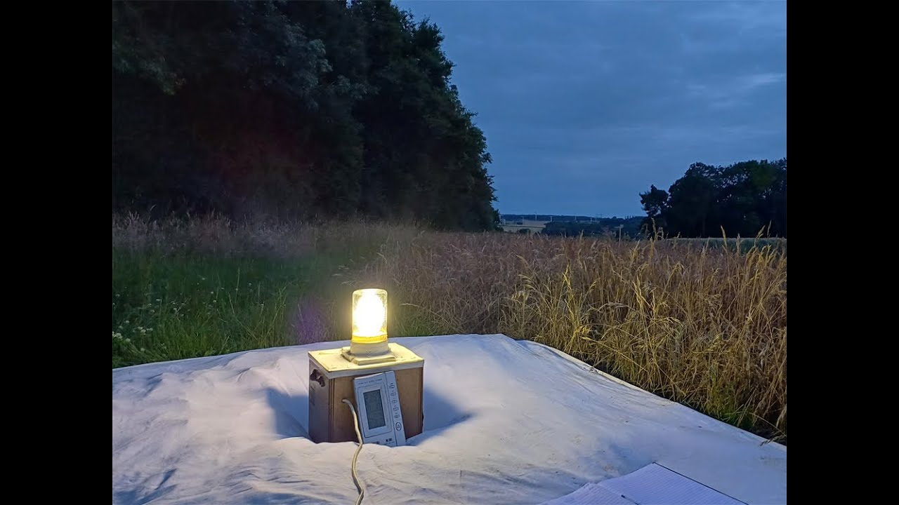 Moth trapping - Lound Wood July 17th 2024
