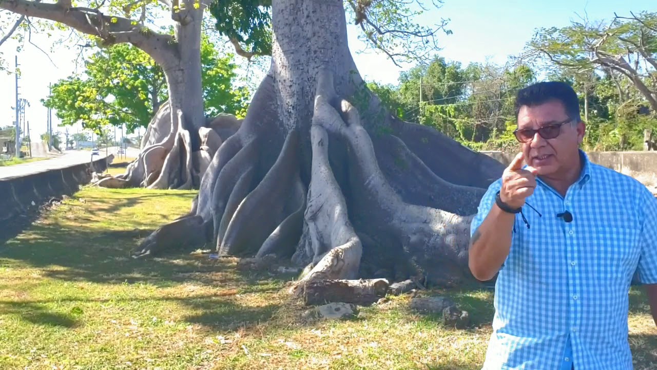 Quebradillas P.R.  Coliseo Raymond  Dalmau