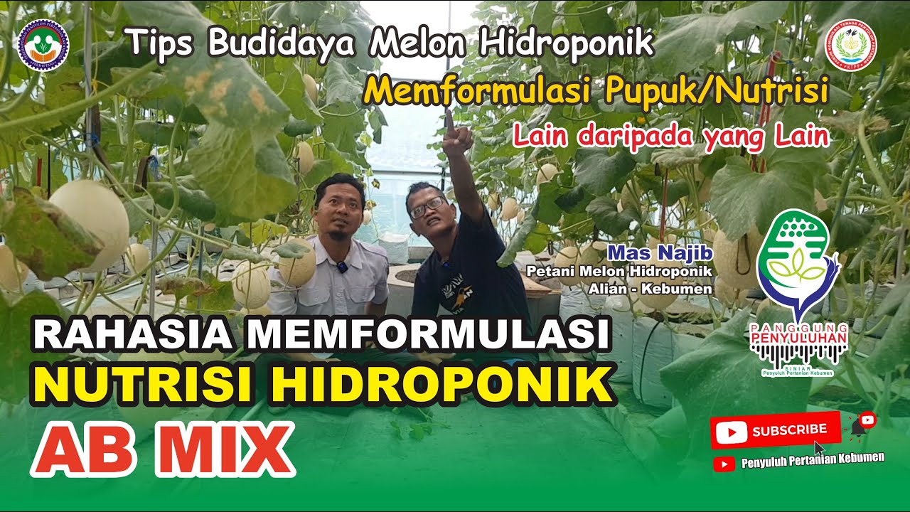 RAHASIA MEMFORMULASI NUTRISI HIDROPONIK AB-MIX