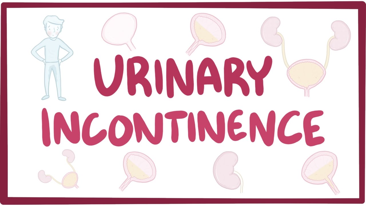Urinary incontinence - causes, symptoms, diagnosis, treatment, pathology