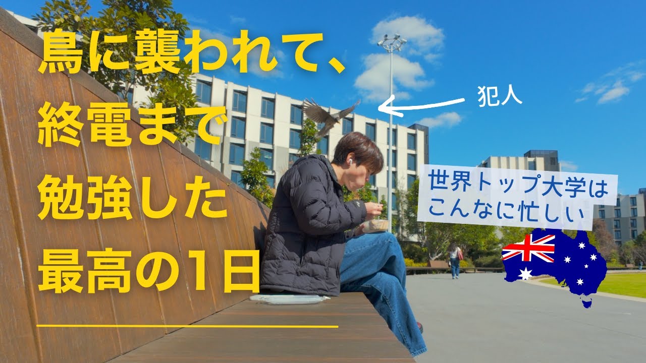 オーストラリアのトップ大学に通う僕のvlog