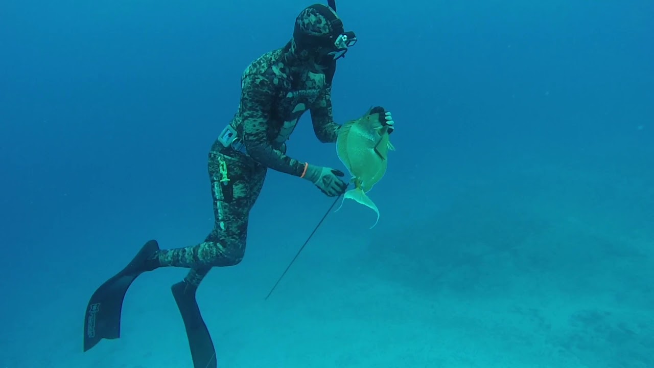 Spearfishing French Polynesia Oct 2017