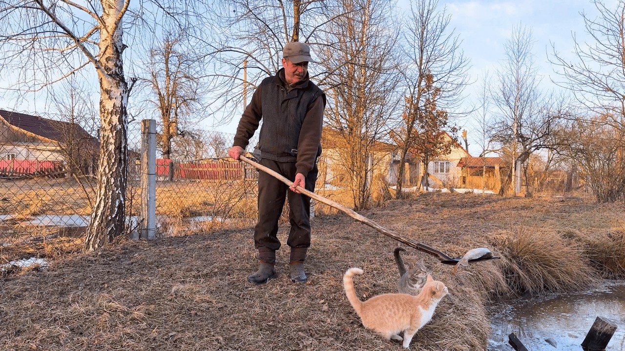 Перші подихи весни на нашому подвір'ї