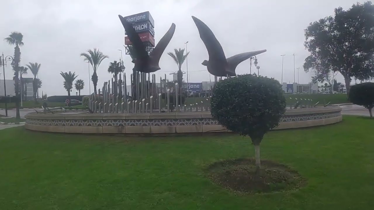 ختكوم خرجات والعاصفة بدات 😂🌧🌧☔☔