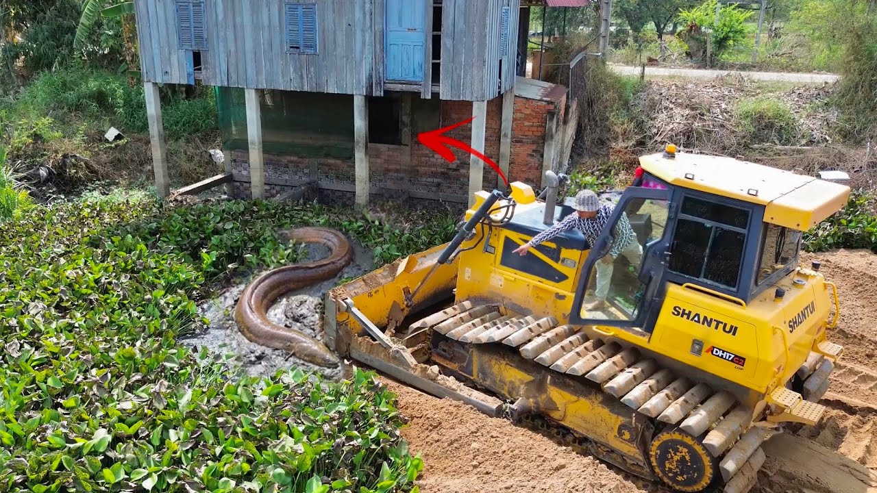 Incredible Operator SHANTUI Bulldozer Moving Sand into Deep Mud Pond!