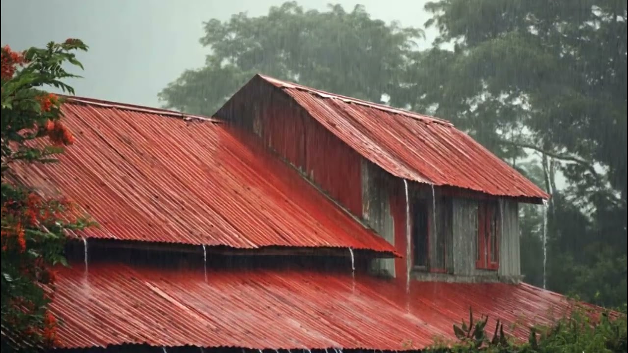 🌧️ Rain Sounds for Sleeping on a Tin Roof | Deep Sleep with Heavy Rain