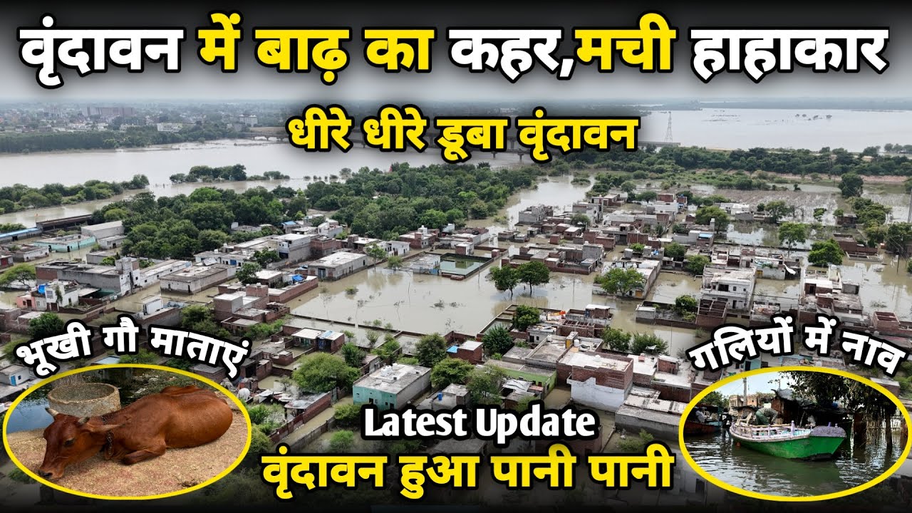 Vrindavan: यमुना जी का रौद्र रूप वृंदावन की गली गली में पानी yamuna flood 2025 ||braj darpan||
