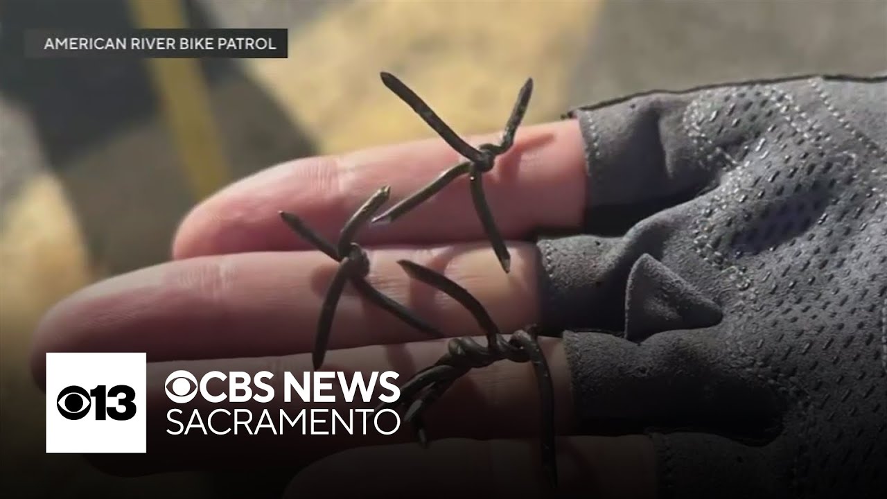 Sharp metal barbs create hazard on American River Parkway trail