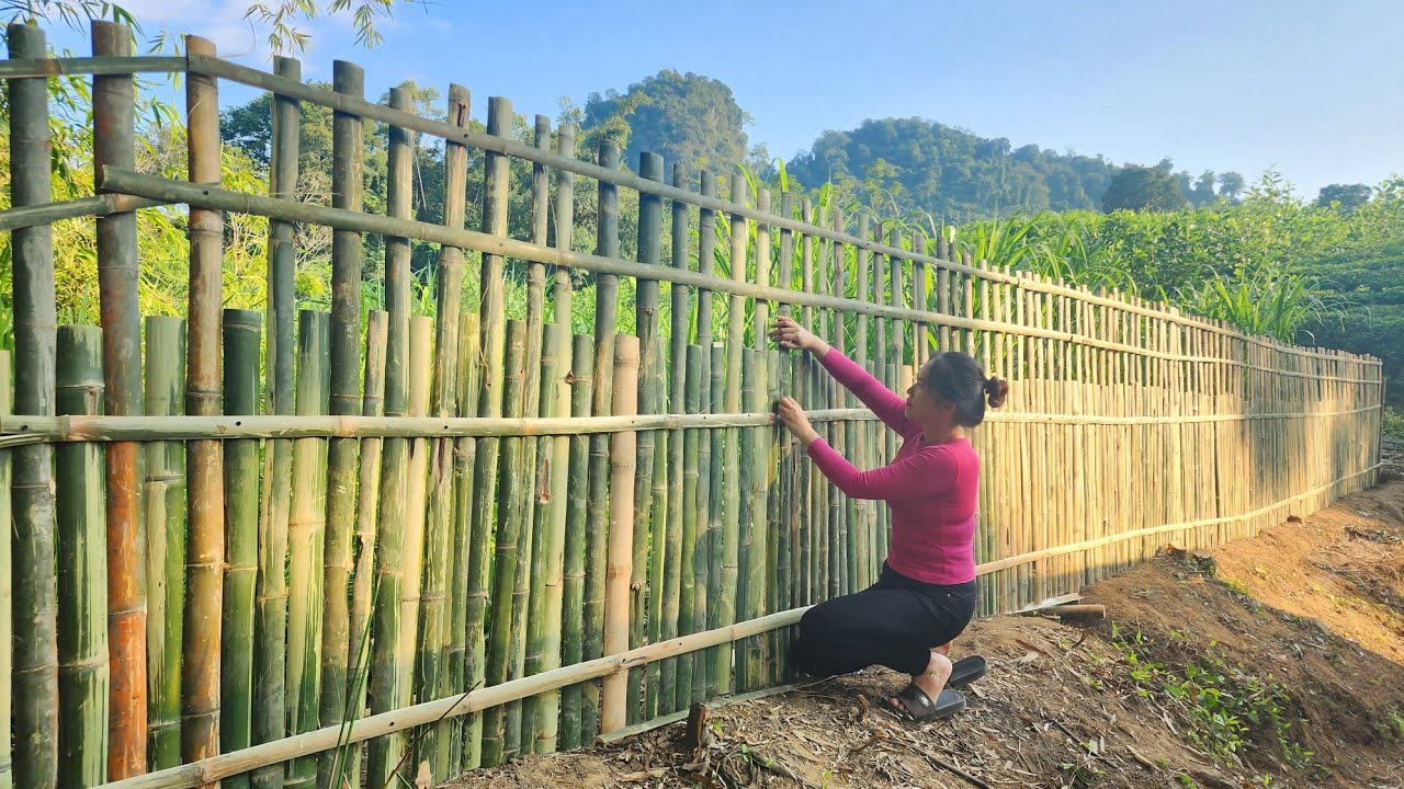 Build and complete your dream bamboo house.How to make a bamboo wall around the house