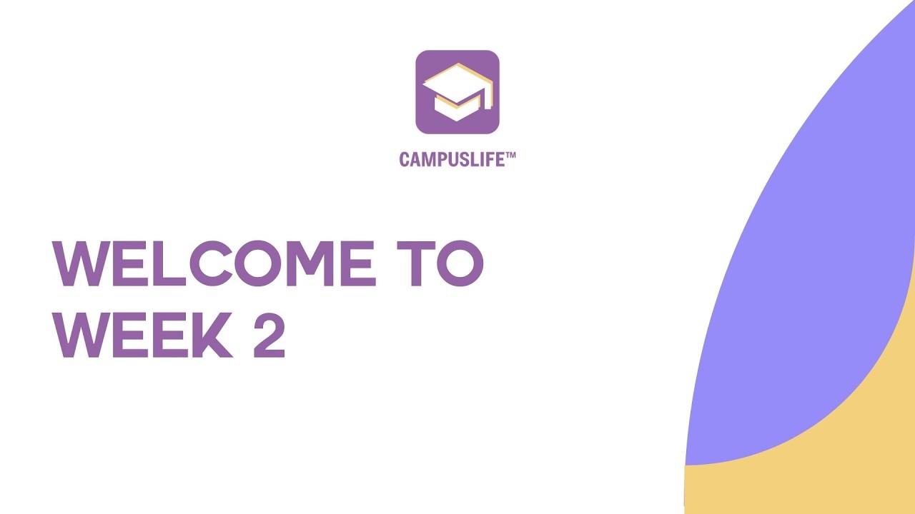 Intern Weekly WIP - W2 Recap:  How to Show Up Like a Professional?