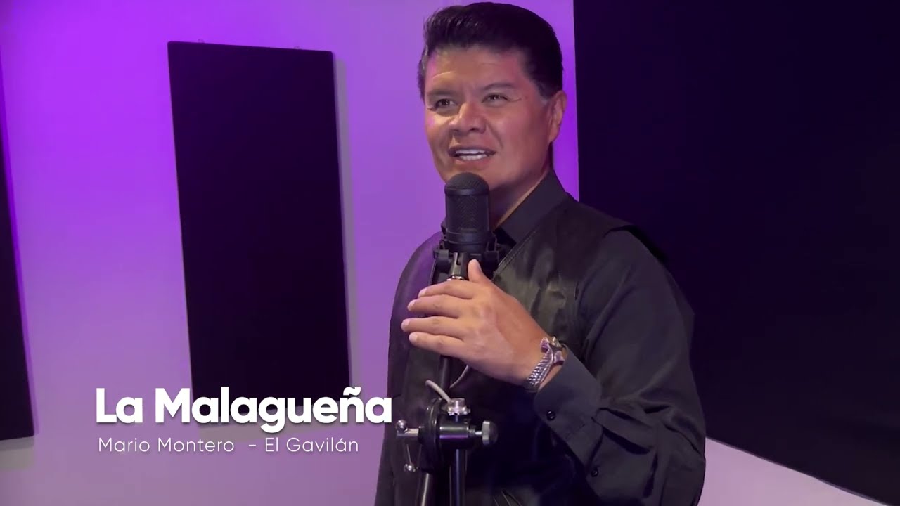 LA MALAGUEÑA - MARIO MONTERO