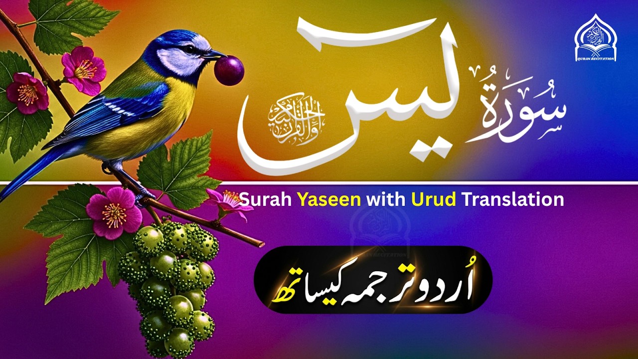 Surah Yaseen | Full Recitation With Urdu Translation | EP-146