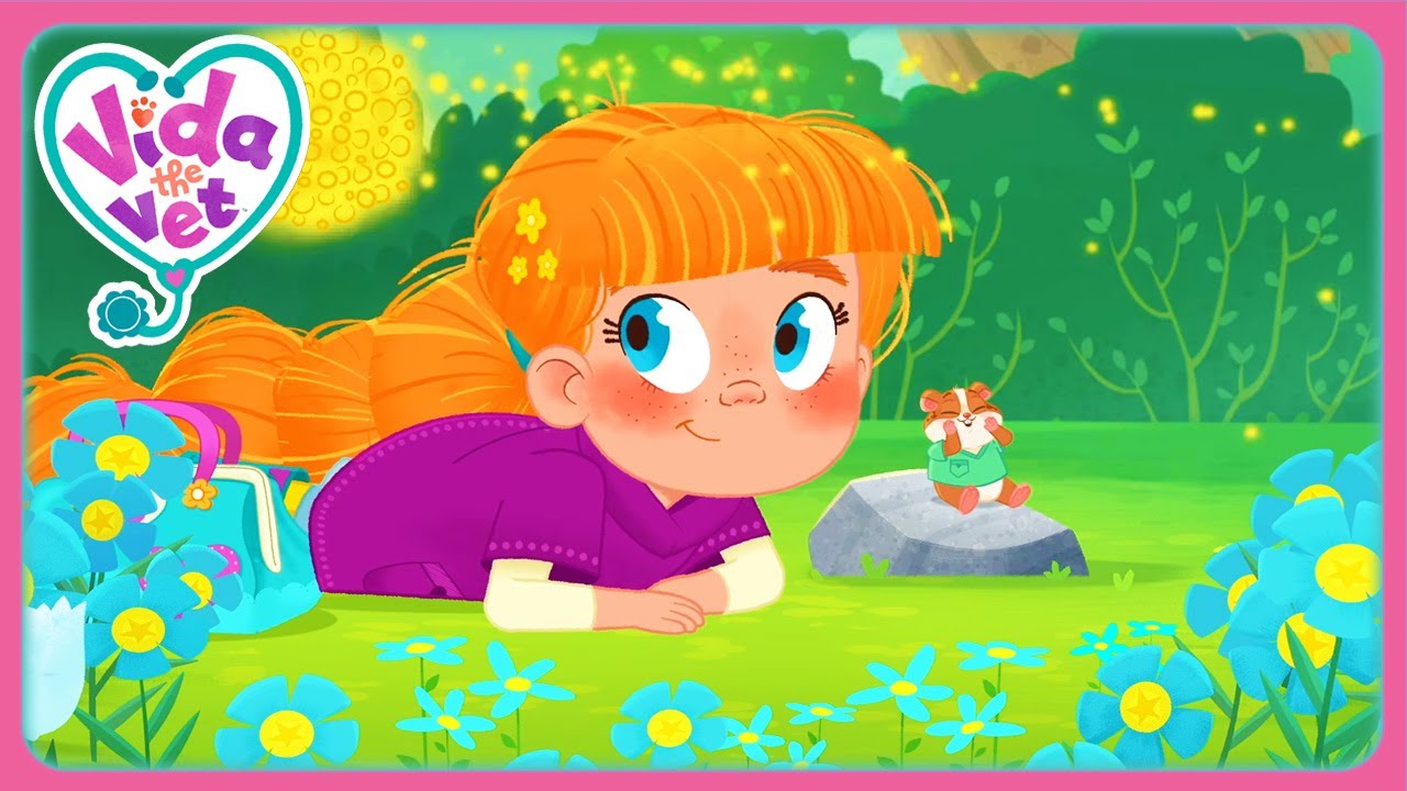 Vida Besucht Die Blumenfelder (Zusammenstellung) | Vida der Doc | Cartoons für Kinder