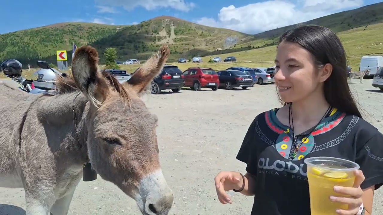 Stana lui Stefanu  sus transalpina  2025