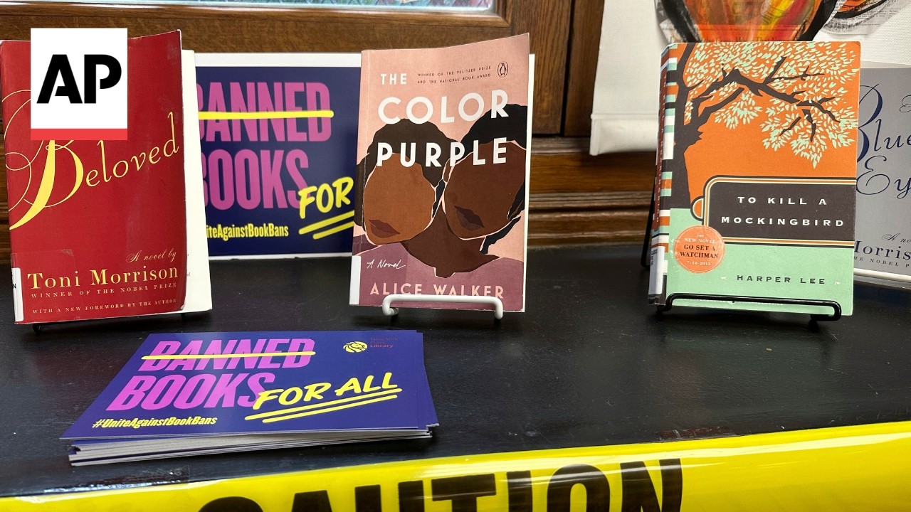 Book bans and attempted bans remain at record highs, ALA says