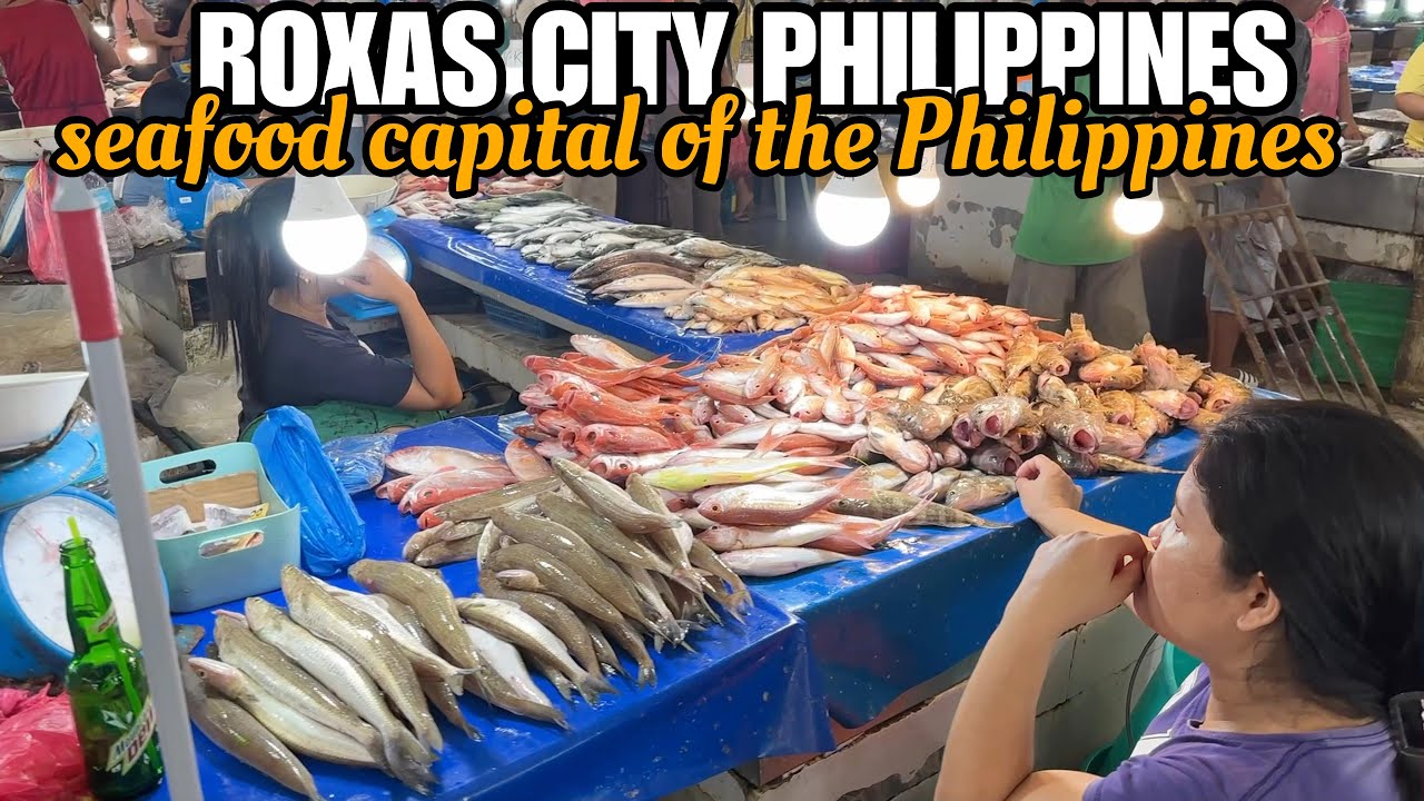 ROXAS CITY, CAPIZ PHILIPPINES-SEAFOOD CAPITAL OF THE PHILIPPINES|PUBLIC MARKET TOUR[4k]