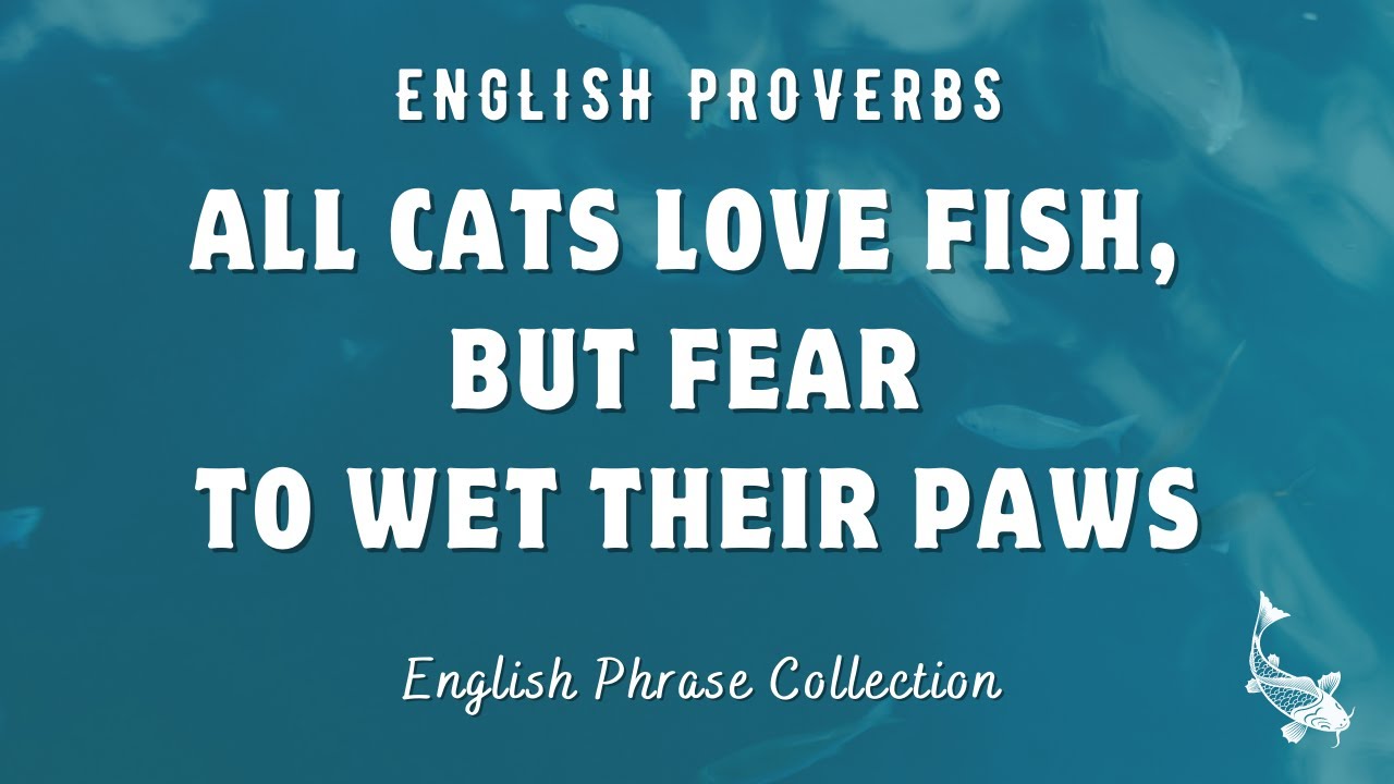Exploring the Origin and Meaning of the Proverb 