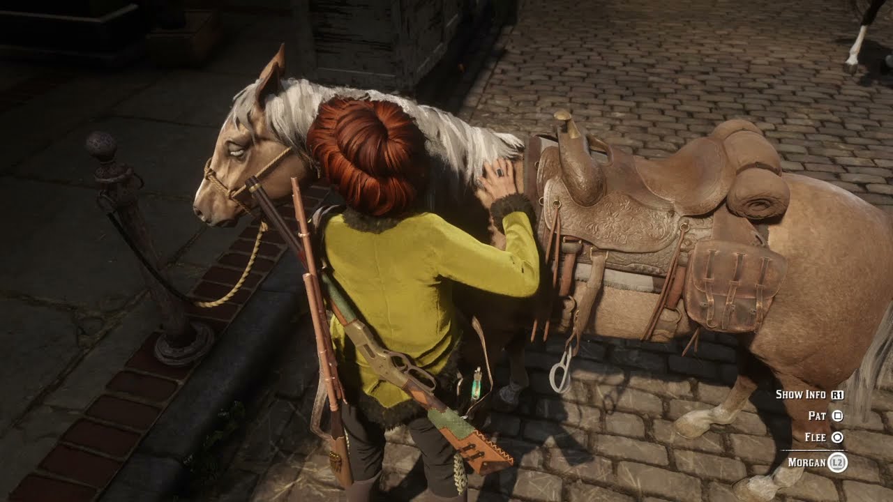 RDO Searching Saddlebags Series: Broad Daylight Blackwater