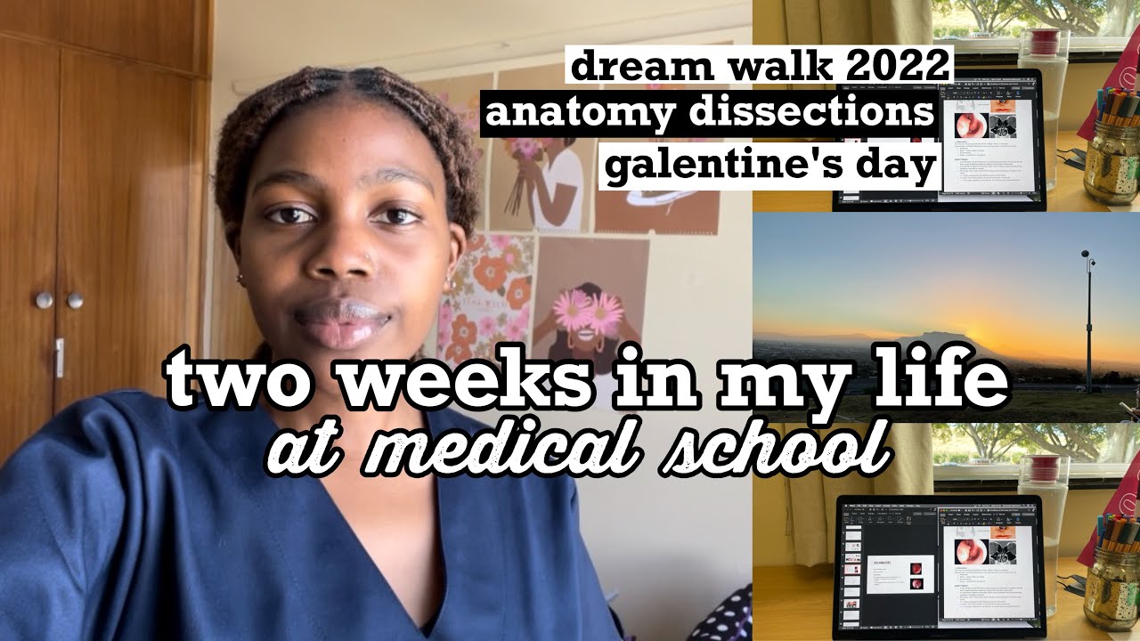 med school vlog || 2 weeks in my life as a 2nd year medical student || stellenbosch university