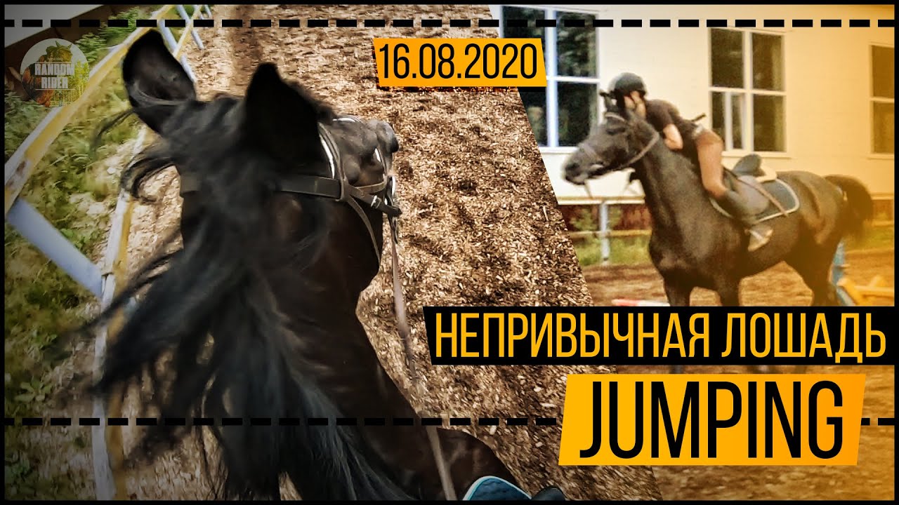 галоп без стремян | КОНКУР | тренируем езду | GoPro