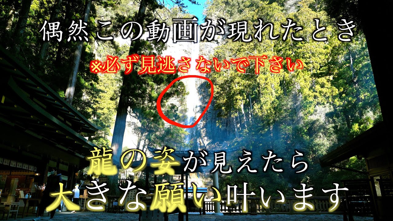 ⚠️必ず見逃さないで！偶然この動画を見たとき※もし龍が見えたら本当に願いが叶います！熊野那智大社参拝