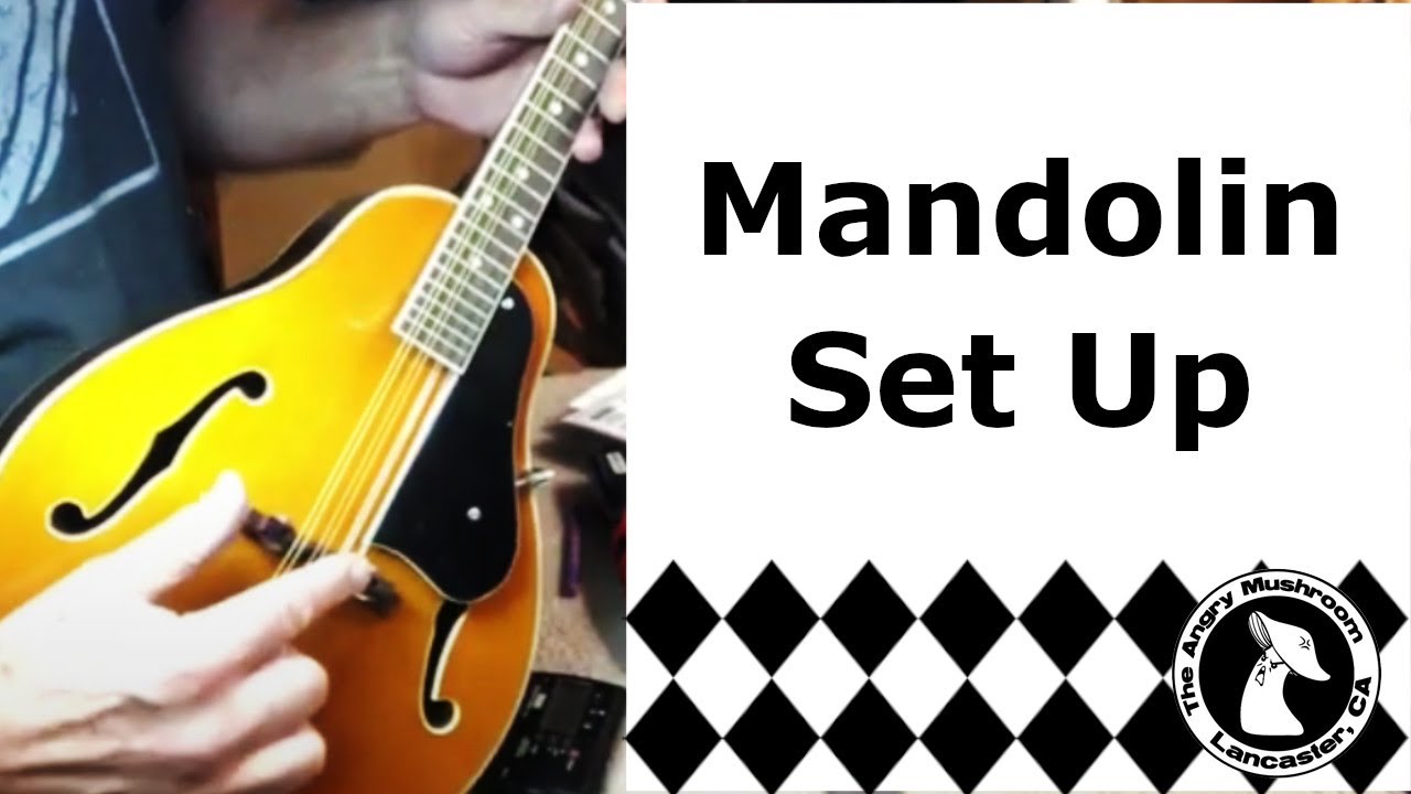 Mandolin Setup - A-style mandolin
